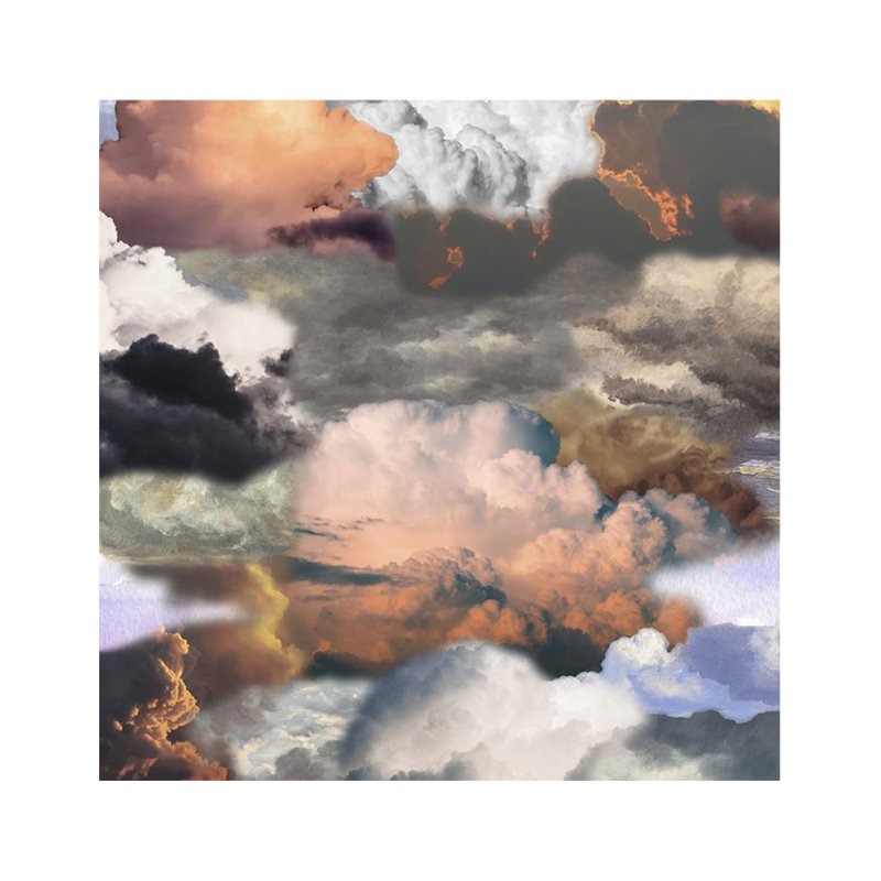 ウォーキングオンクラウズドーン moooi Carpets｜モーイカーペット