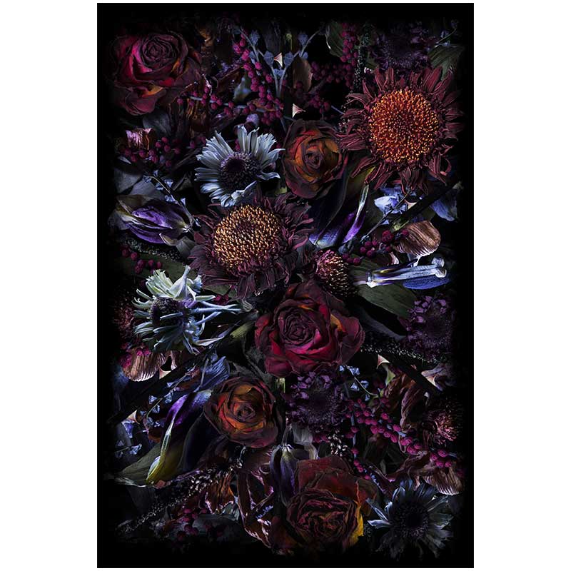 フールズパラダイス 200×300 moooi Carpets｜モーイカーペット