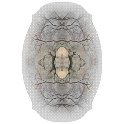 ダイヤモンドツリー moooi Carpets｜モーイカーペット