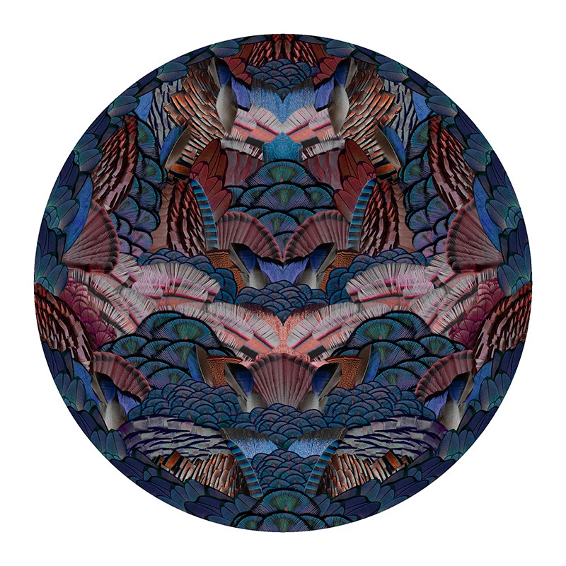 カリグラフィーバード