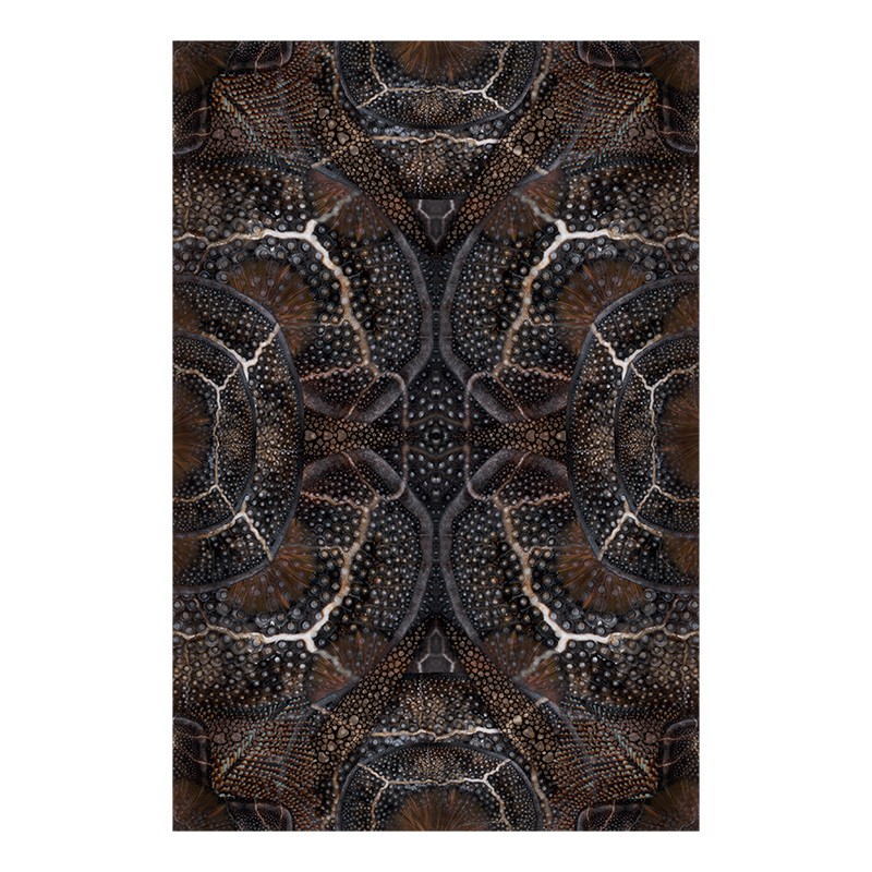 ブルーミングシードラゴン